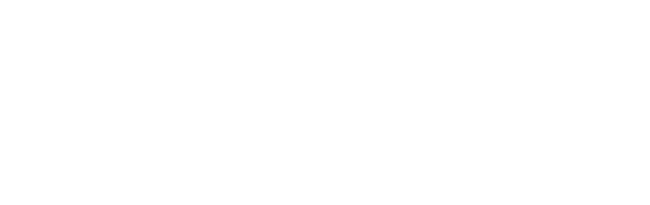 Vixen Media Group